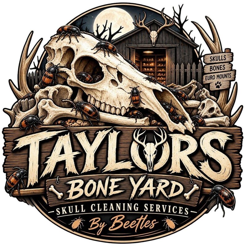 Taylors Bone Yard skull cleaning services logo